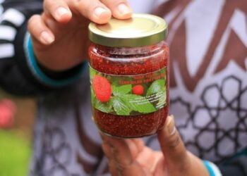 selai kerben, buah kerben