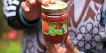 selai kerben, buah kerben